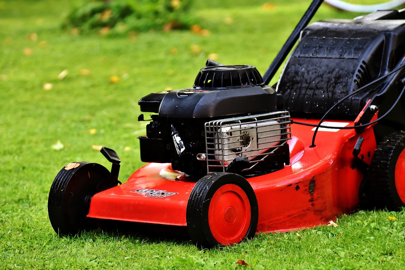 Lawn Mowing Services Brisbane